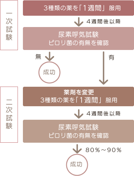 ピロリ菌除菌治療の流れ